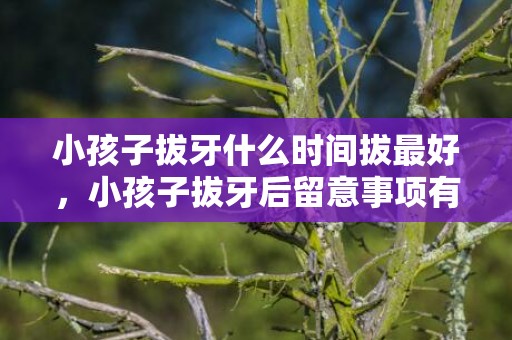 小孩子拔牙什么时间拔最好，小孩子拔牙后留意事项有哪些