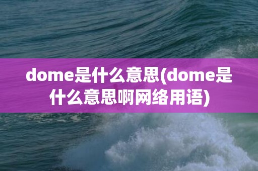 dome是什么意思(dome是什么意思啊网络用语)