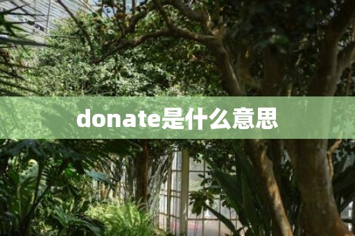donate是什么意思