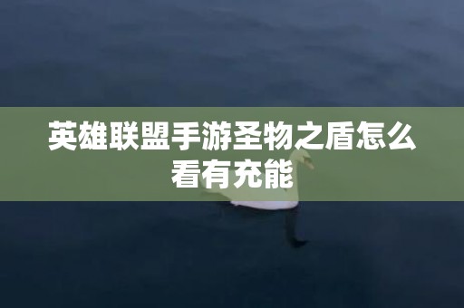 英雄联盟手游圣物之盾怎么看有充能
