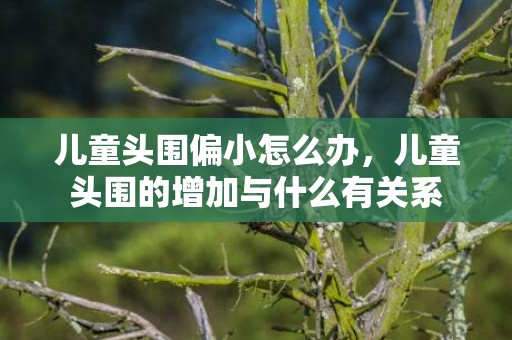 儿童头围偏小怎么办，儿童头围的增加与什么有关系