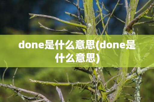 done是什么意思(done是什么意思)