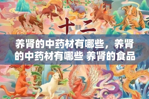 养肾的中药材有哪些，养肾的中药材有哪些 养肾的食品