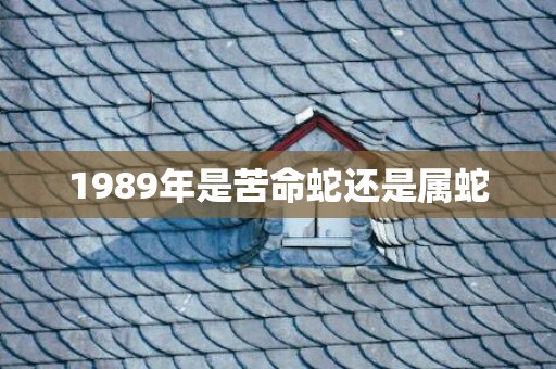 1989年是苦命蛇还是属蛇