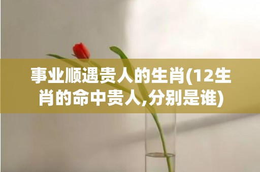 事业顺遇贵人的生肖(12生肖的命中贵人,分别是谁)