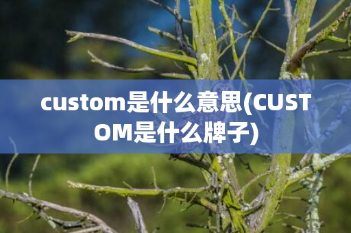 custom是什么意思(CUSTOM是什么牌子)