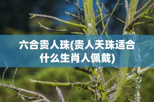 六合贵人珠(贵人天珠适合什么生肖人佩戴)