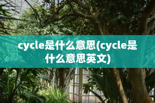 cycle是什么意思(cycle是什么意思英文)