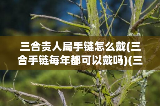 三合贵人局手链怎么戴(三合手链每年都可以戴吗)(三合贵人局手链怎么戴)