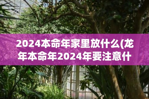 2024本命年家里放什么(龙年本命年2024年要注意什么)(2024年本命年化解太岁方法)