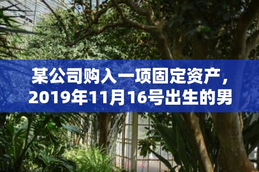 某公司购入一项固定资产，2019年11月16号出生的男孩怎么起名字，五行属什么