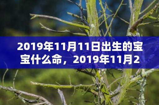 2019年11月11日出生的宝宝什么命，2019年11月29号出生的男孩怎么起名字，五行属什么