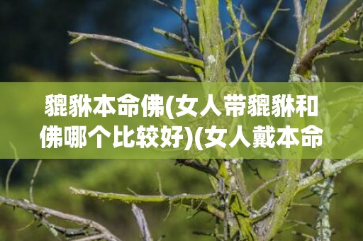 貔貅本命佛(女人带貔貅和佛哪个比较好)(女人戴本命佛好还是貔貅好)