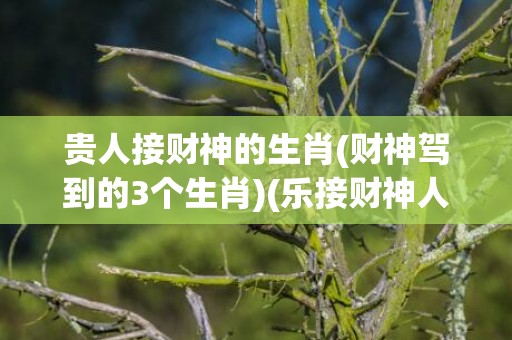 贵人接财神的生肖(财神驾到的3个生肖)(乐接财神人安康是什么生肖)