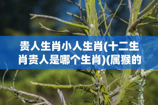 贵人生肖小人生肖(十二生肖贵人是哪个生肖)(属猴的贵人和小人是哪个生肖)