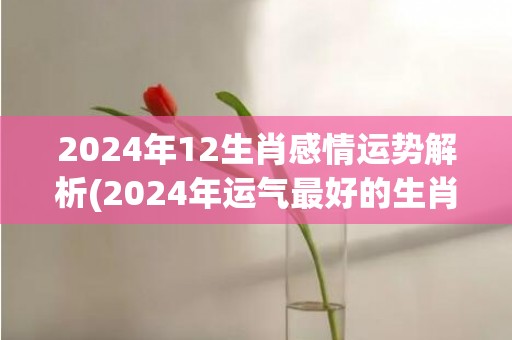 2024年12生肖感情运势解析(2024年运气最好的生肖)(2024年12生肖运势排行榜)