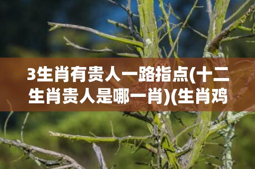 3生肖有贵人一路指点(十二生肖贵人是哪一肖)(生肖鸡的最佳贵人是谁)