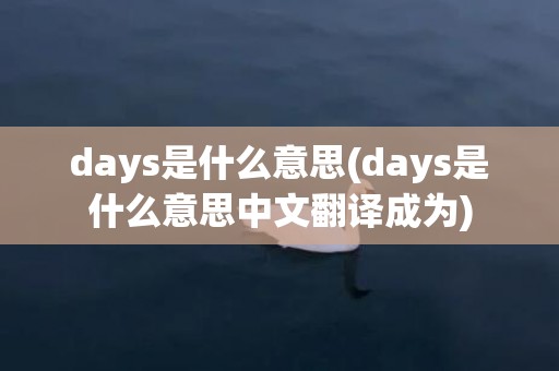 days是什么意思(days是什么意思中文翻译成为)
