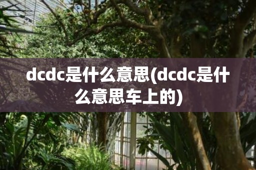 dcdc是什么意思(dcdc是什么意思车上的)