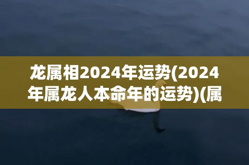 龙属相2024年运势(2024年属龙人本命年的运势)(属相龙2024年多大)