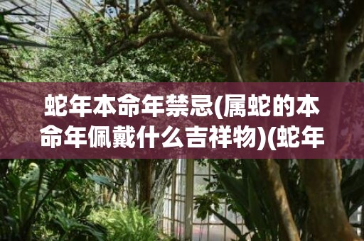 蛇年本命年禁忌(属蛇的本命年佩戴什么吉祥物)(蛇年本命年是哪一年)