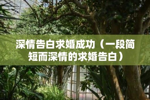 深情告白求婚成功（一段简短而深情的求婚告白）
