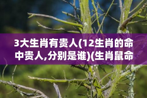 3大生肖有贵人(12生肖的命中贵人,分别是谁)(生肖鼠命中有两大贵人)