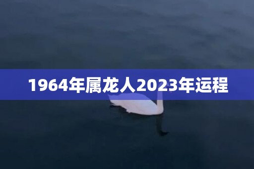 1964年属龙人2023年运程