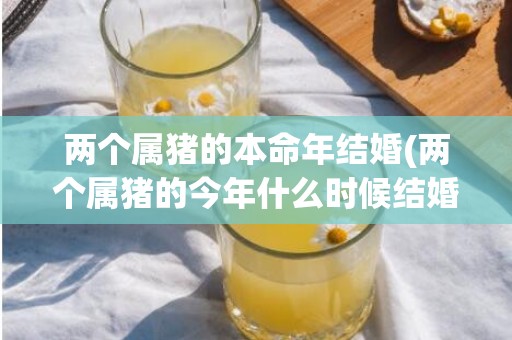 两个属猪的本命年结婚(两个属猪的今年什么时候结婚好)(属猪本命年份)