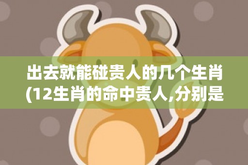 出去就能碰贵人的几个生肖(12生肖的命中贵人,分别是谁)