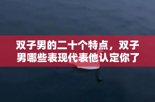 双子男的二十个特点，双子男哪些表现代表他认定你了