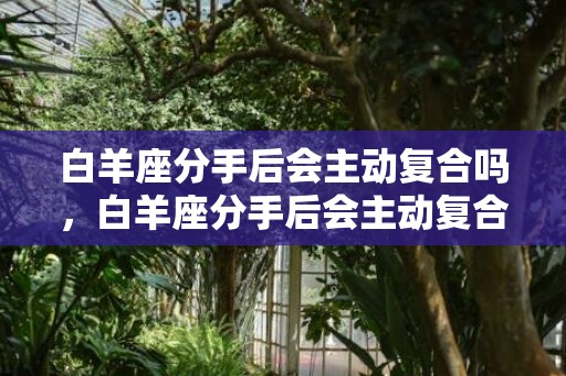 白羊座分手后会主动复合吗，白羊座分手后会主动复合吗