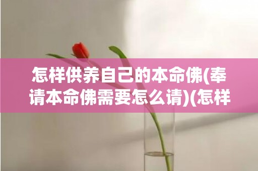 怎样供养自己的本命佛(奉请本命佛需要怎么请)(怎样供养自己的本命佛)