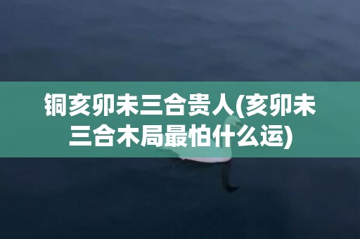 铜亥卯未三合贵人(亥卯未三合木局最怕什么运)