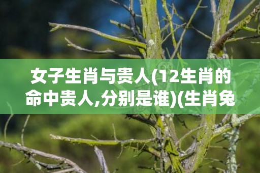 女子生肖与贵人(12生肖的命中贵人,分别是谁)(生肖兔命中有两大贵人)