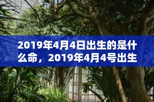 2019年4月4日出生的是什么命，2019年4月4号出生的男宝宝五行缺金要怎么起名字