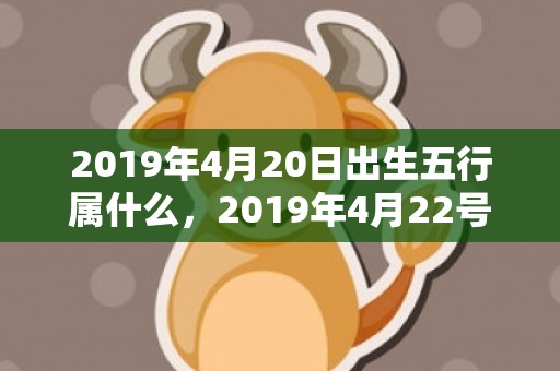 2019年4月20日出生五行属什么，2019年4月22号出生的双胞胎男孩起什么名字比较好，五行属什么