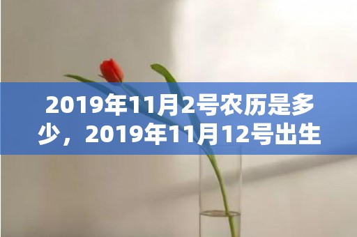 2019年11月2号农历是多少，2019年11月12号出生的男孩怎么起名字，五行属什么