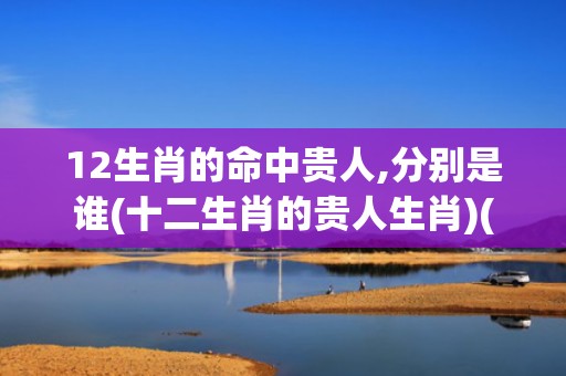 12生肖的命中贵人,分别是谁(十二生肖的贵人生肖)(12生肖最贵的动物)