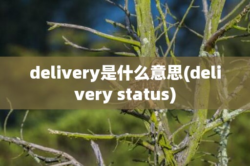 delivery是什么意思(delivery status)