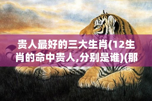 贵人最好的三大生肖(12生肖的命中贵人,分别是谁)(那个月生的贵人运最好)