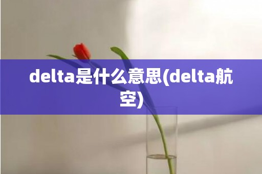 delta是什么意思(delta航空)