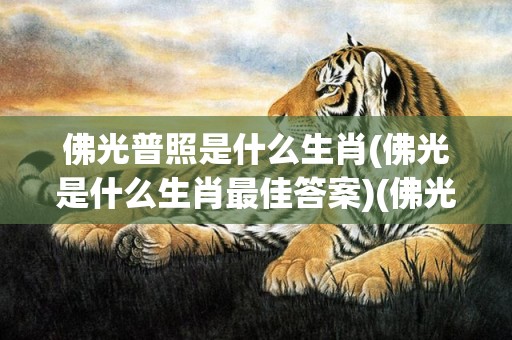 佛光普照是什么生肖(佛光是什么生肖最佳答案)(佛光普照是什么生肖九)