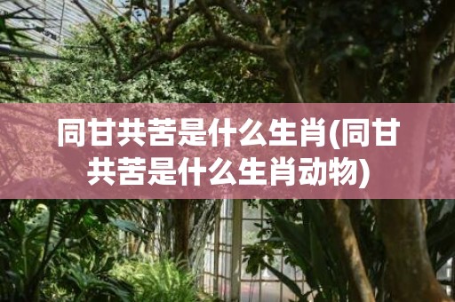 同甘共苦是什么生肖(同甘共苦是什么生肖动物)