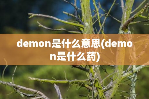 demon是什么意思(demon是什么药)