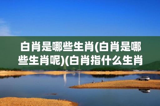 白肖是哪些生肖(白肖是哪些生肖呢)(白肖指什么生肖动物)