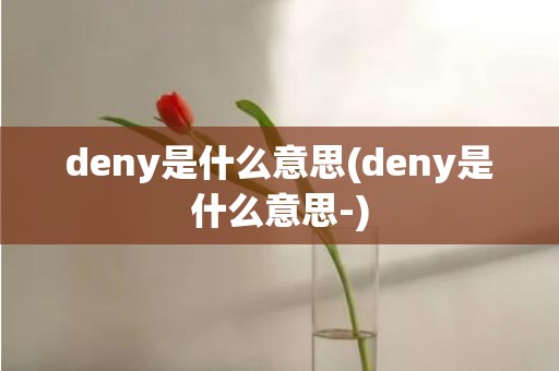 deny是什么意思(deny是什么意思-)