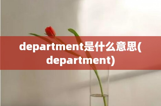 department是什么意思(department)