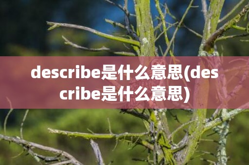 describe是什么意思(describe是什么意思)