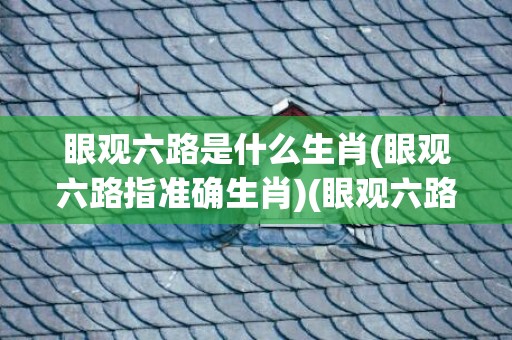 眼观六路是什么生肖(眼观六路指准确生肖)(眼观六路是什么生肖答案解释财经)